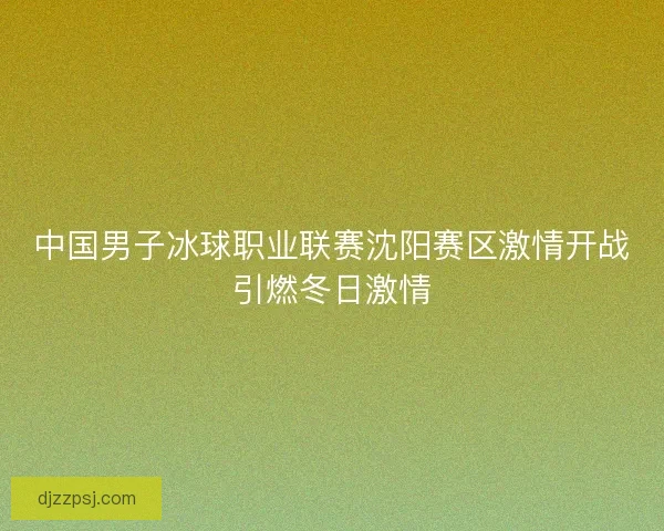 中国男子冰球职业联赛沈阳赛区激情开战引燃冬日激情