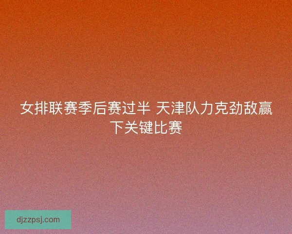 女排联赛季后赛过半 天津队力克劲敌赢下关键比赛